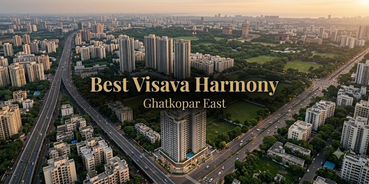 Best Visava Harmony