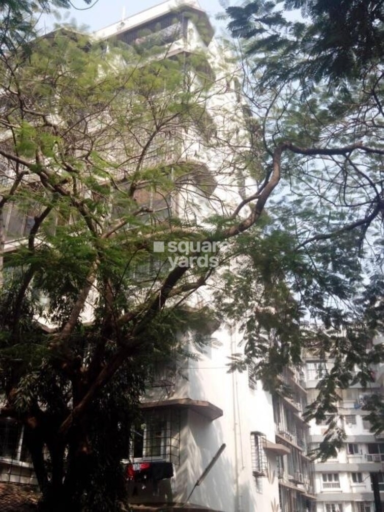 Blue Bird Tower View