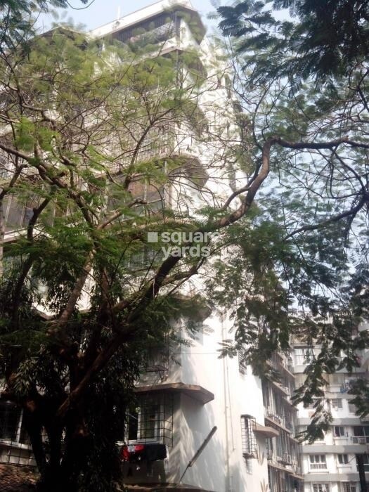 Blue Bird Tower View