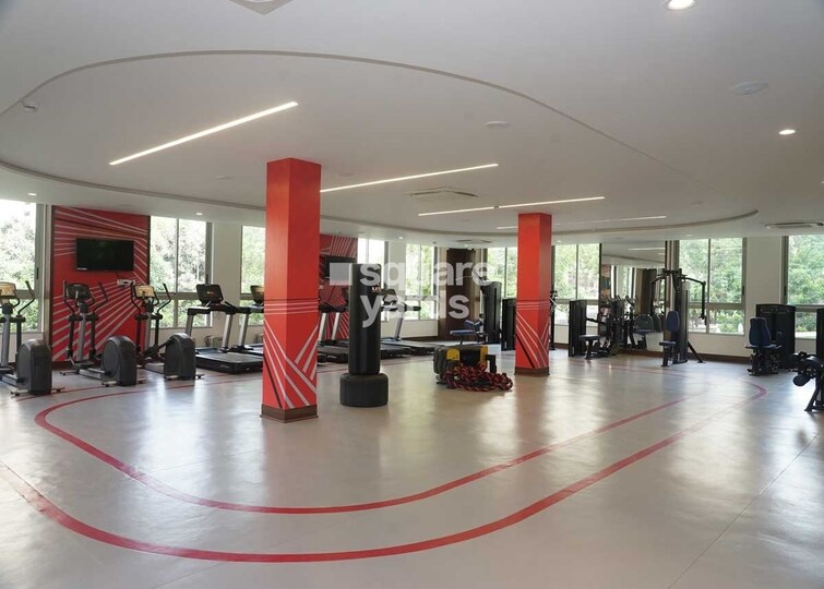 Castle Rock Gymnasium Image