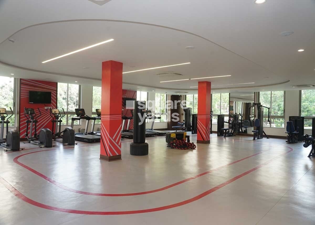 Castle Rock Gymnasium Image