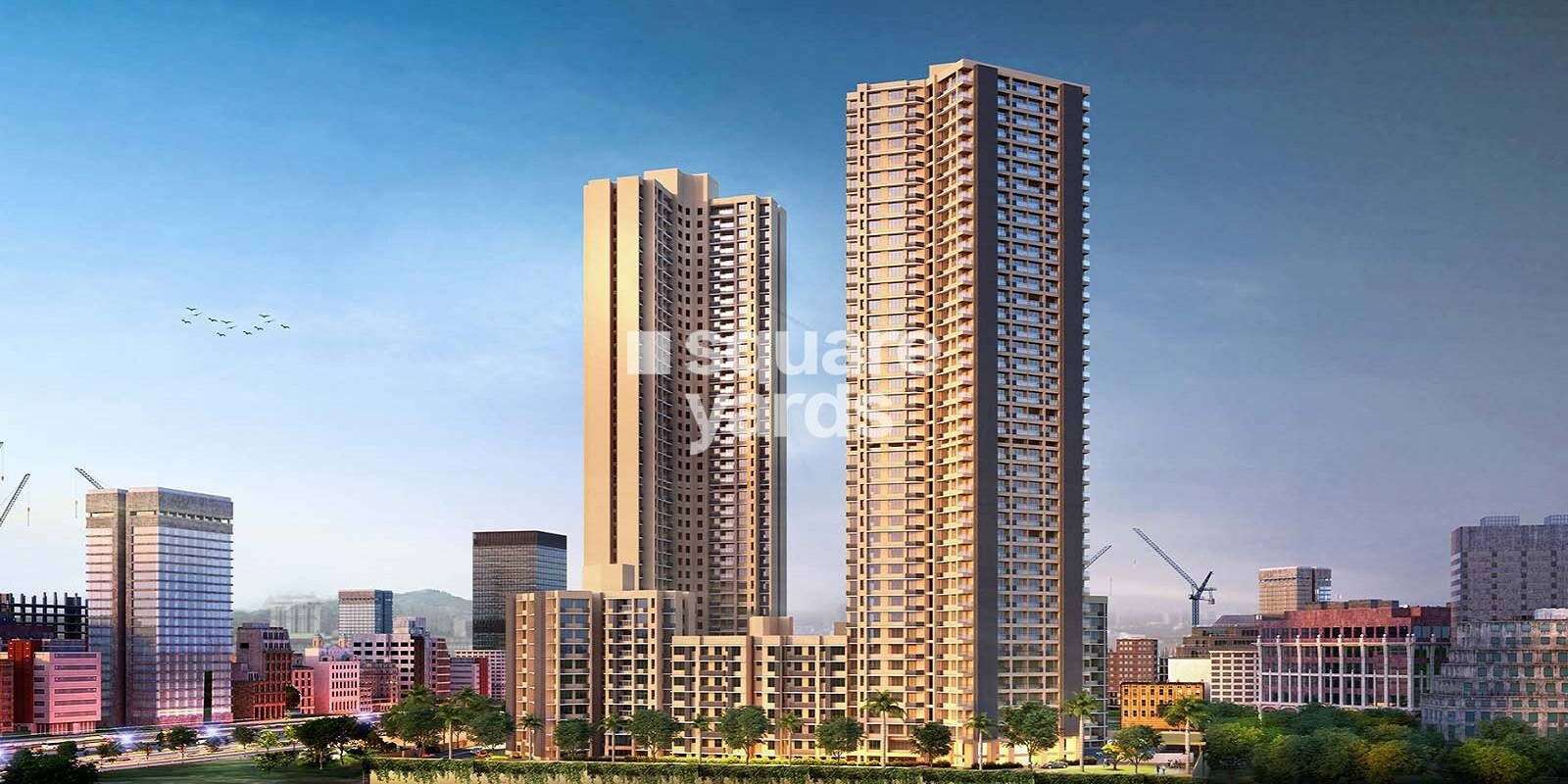 CCI Rivali Park Wintergreen