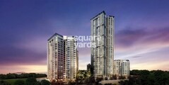 CCI Whitespring
