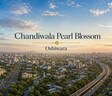 Chandiwala Pearl Blossom