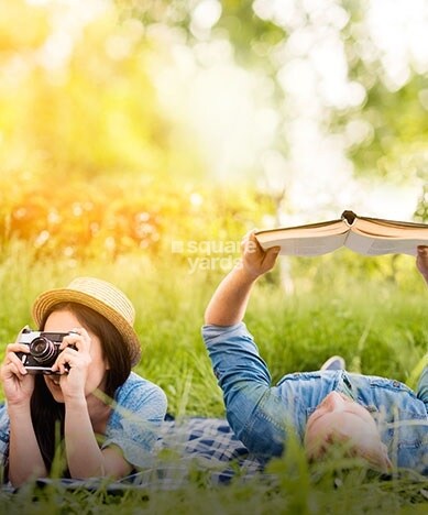 Chandiwala Pearl Platinum