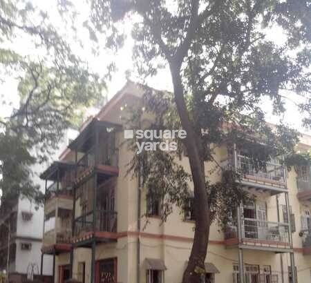 Chaya  Building Tower View