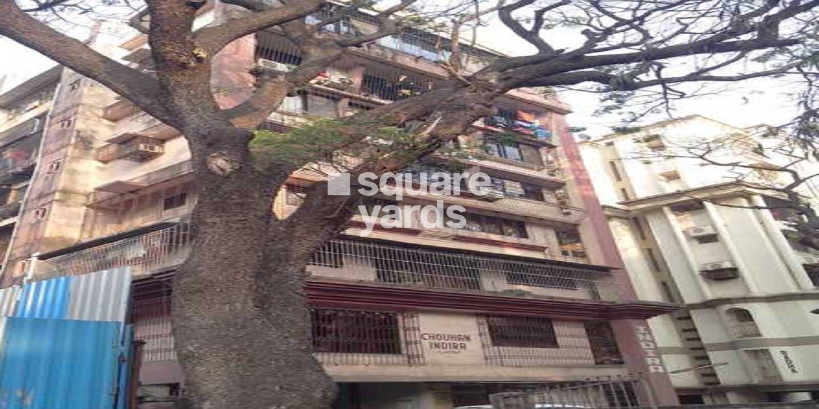 Chouhan Indira Classic