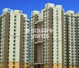 Construction Of Mill Workers Tenements