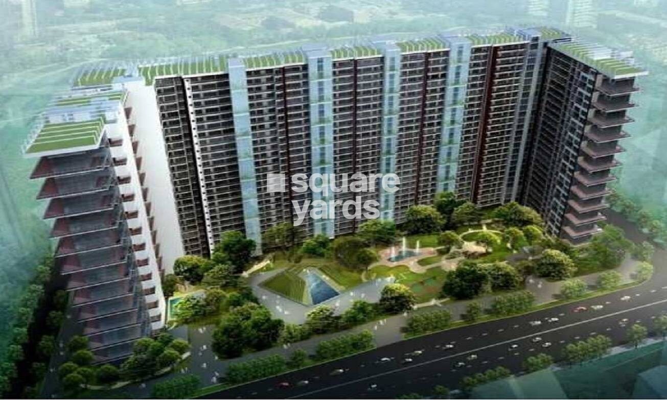 DB Orchid Paradise Tower View