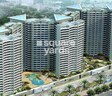 DB Orchid Suburbia
