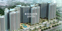DB Orchid Suburbia