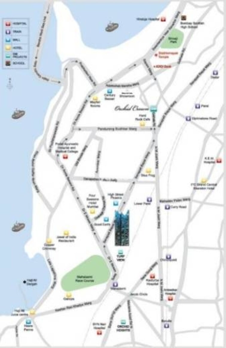 DB Orchid Turf View Location Image