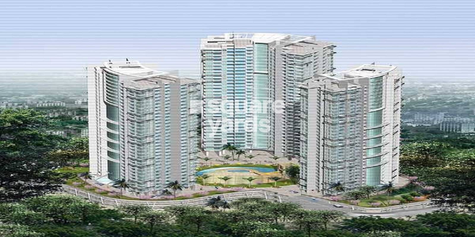 Db Orchid West View