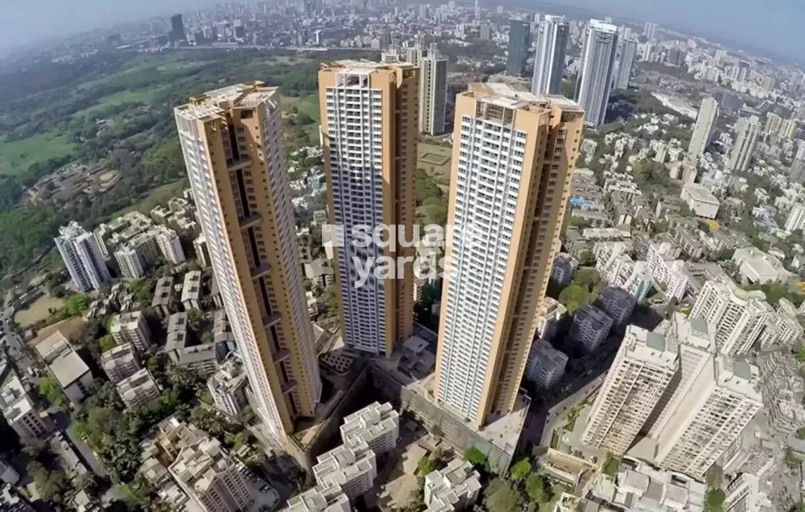 DB Orchid Woods Tower View 1