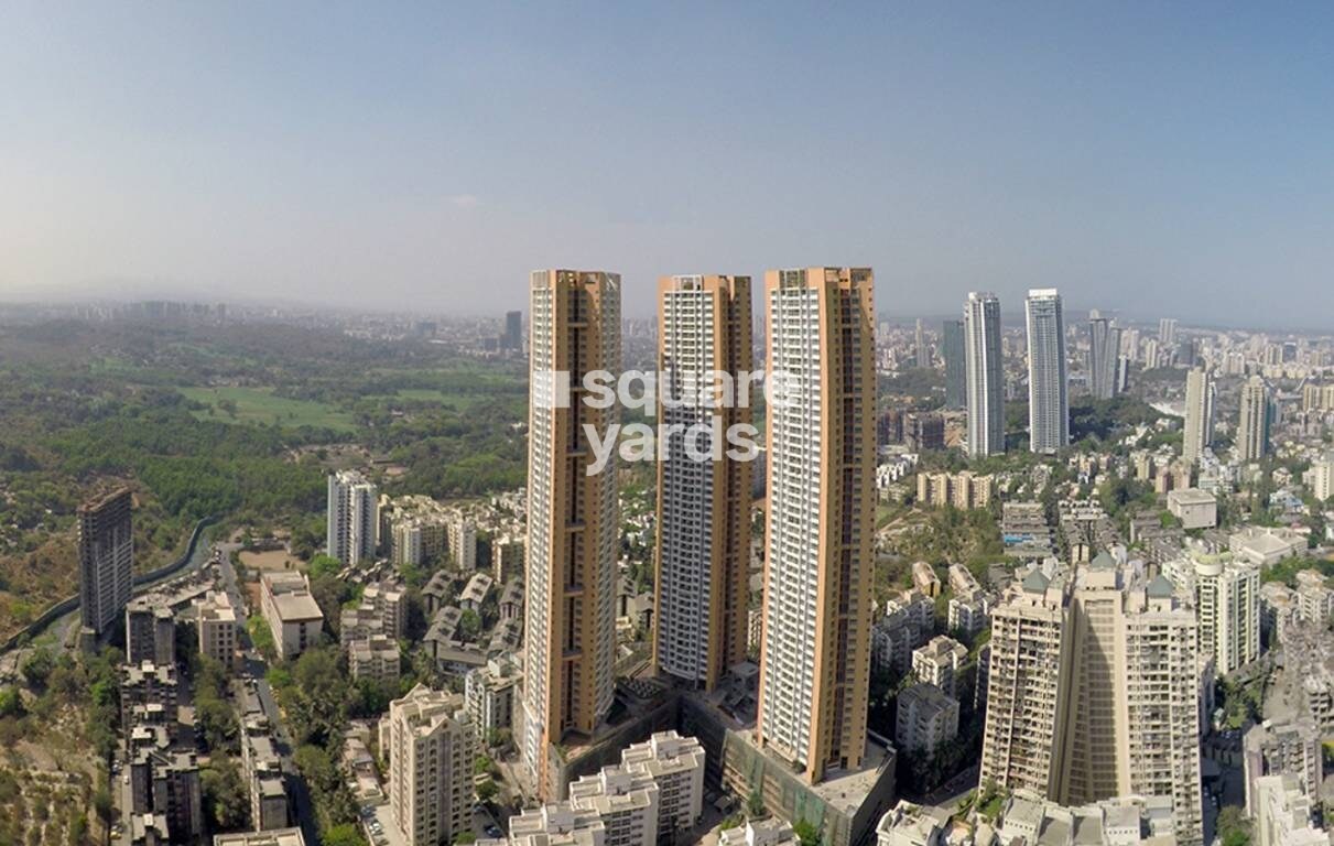 DB Realty Orchid Woods Tower View 1