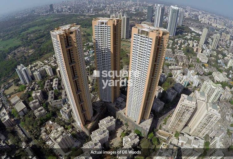 DB Realty Orchid Woods Tower View 3