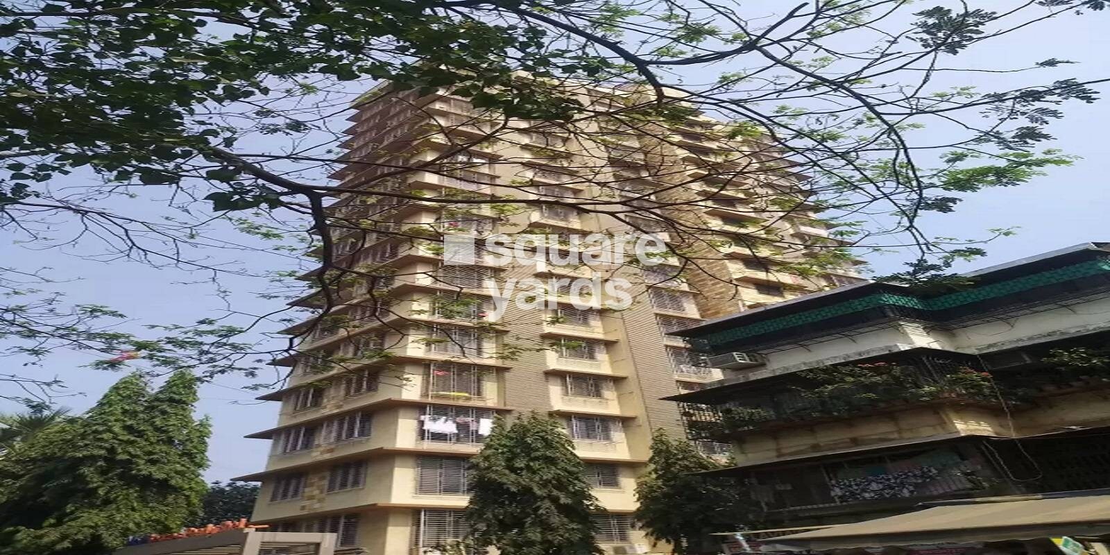 dedhia-tuljai