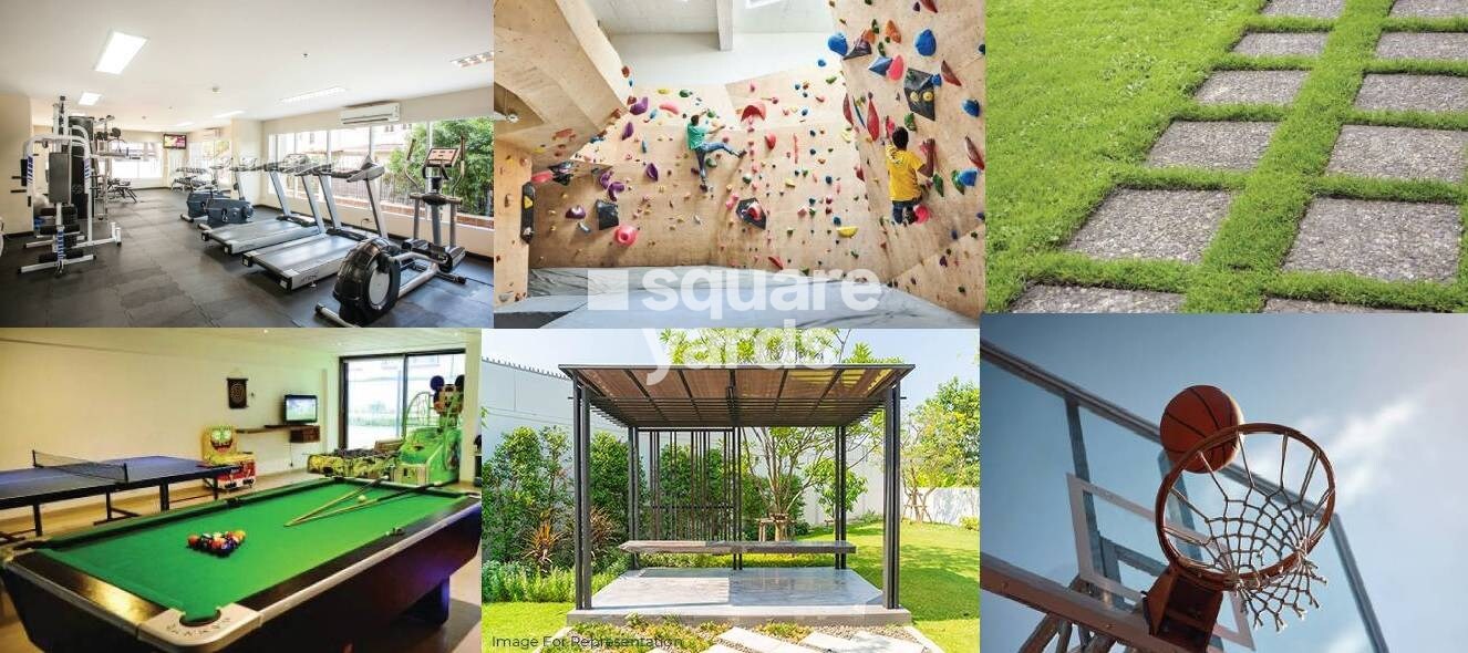 Dem Cygnus Amenities-Features