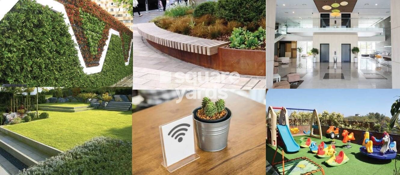 Dem Cygnus Amenities-Features