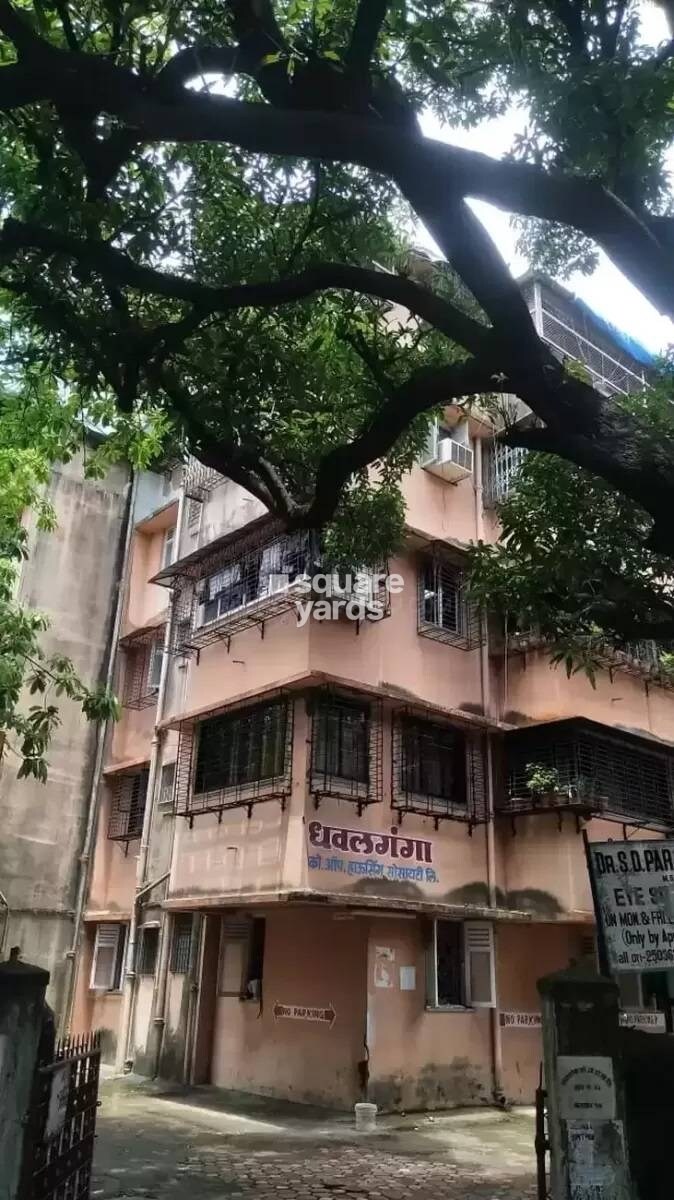 Dhaval Ganga CHS Tower View
