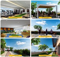 Dimple Westwood Amenities-Features