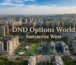 DND Options World