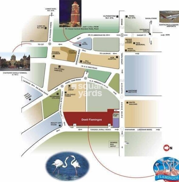 Dosti Flamingos Location Image