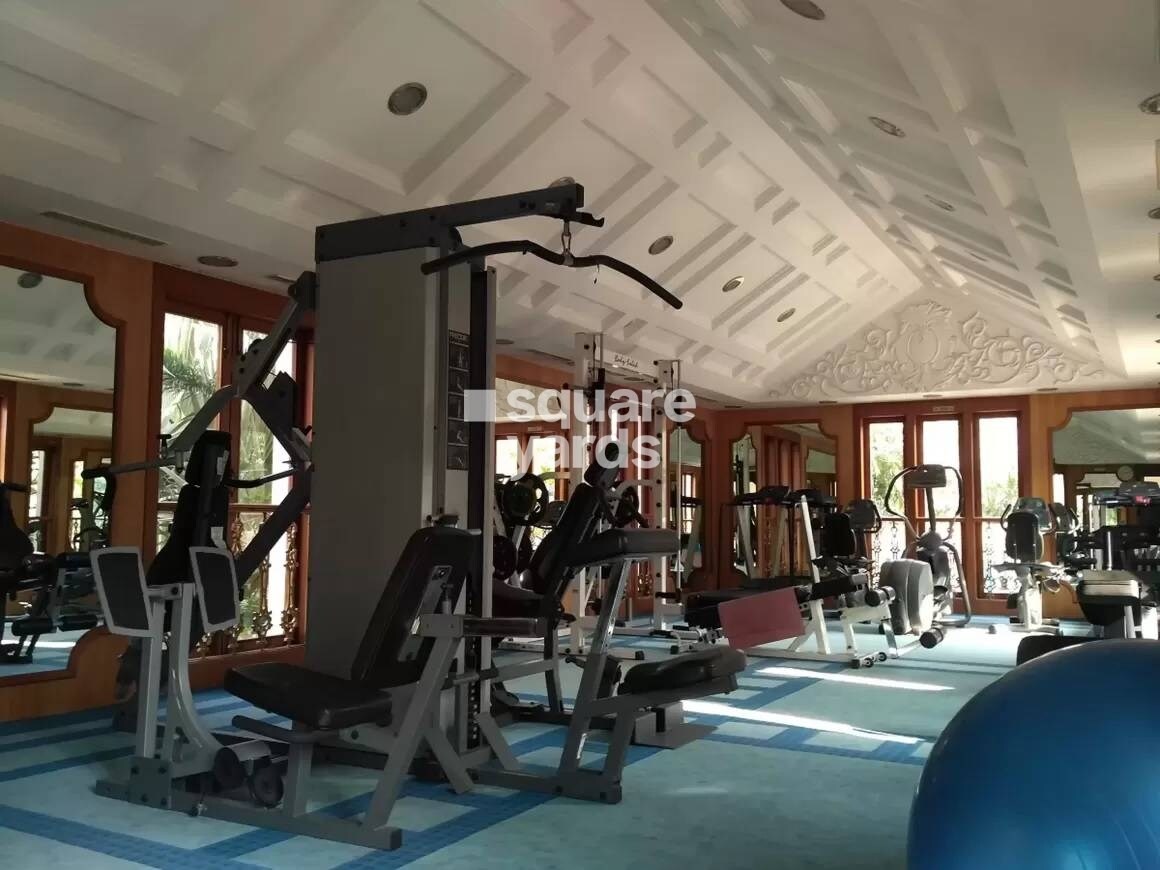 Dosti Group Elite Gymnasium Image