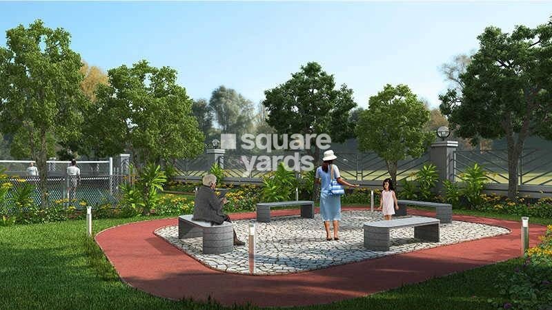 DP Star Trilok Amenities-Features