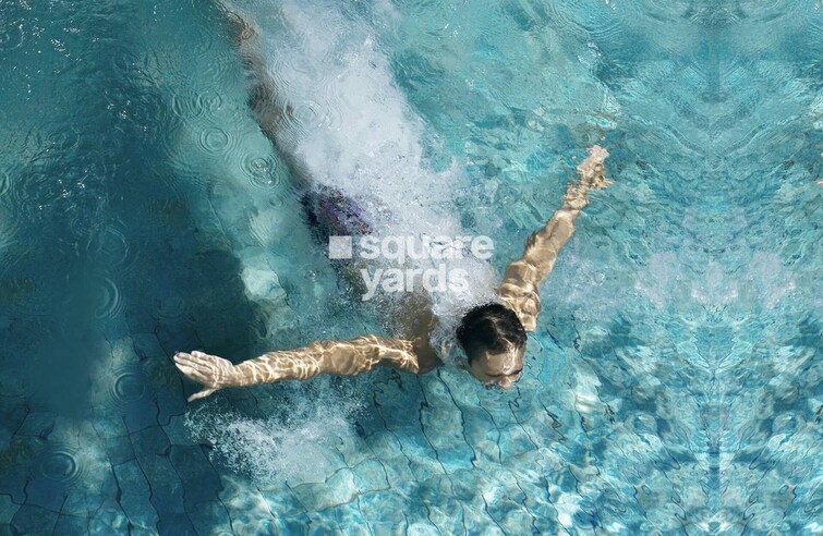 Dudhwala Aqua Gem Amenities-Features