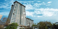 Dudhwala Aqua Gem
