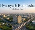 Dvasuyash Rudraksha