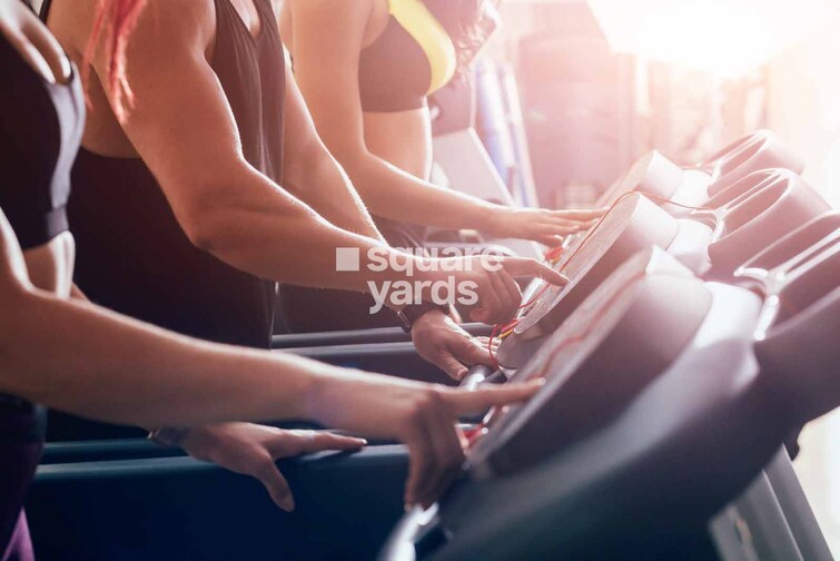 Dynamix Avanya Gymnasium Image