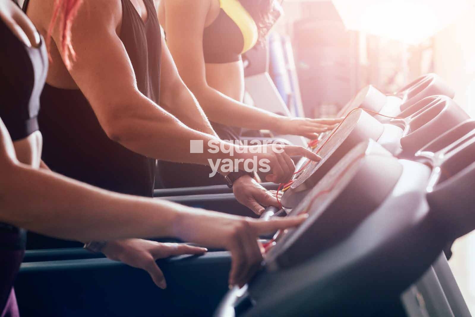 Dynamix Avanya Gymnasium Image