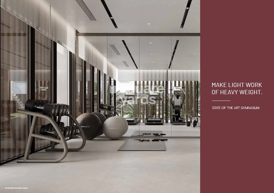 Dynamix Luma Gymnasium Image