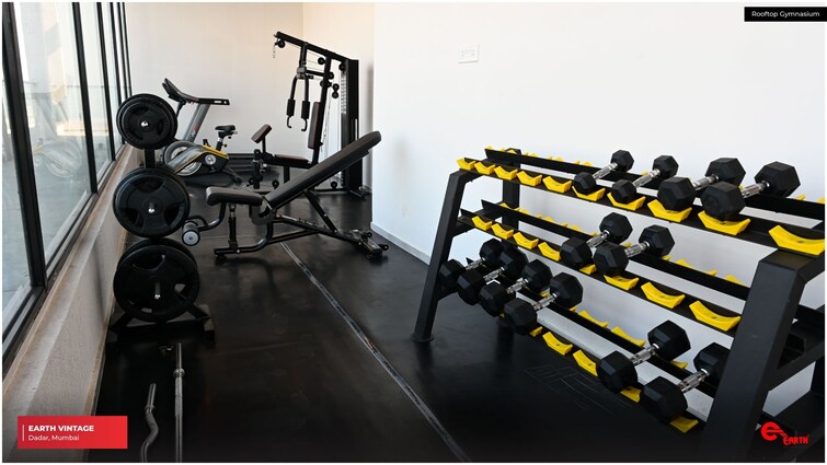 Earth Vintage Gymnasium Image