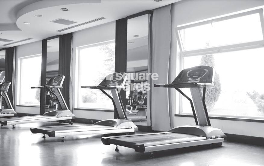 Ekta Verve Amenities Features