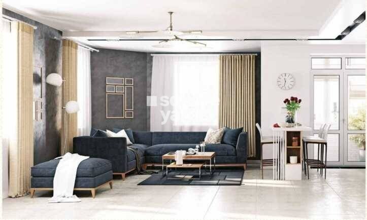 Emerald CHS Santacruz