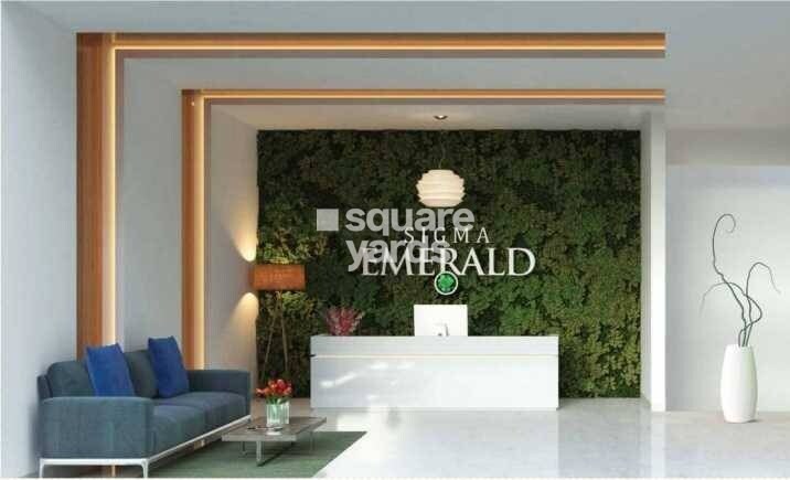 Emerald CHS Santacruz