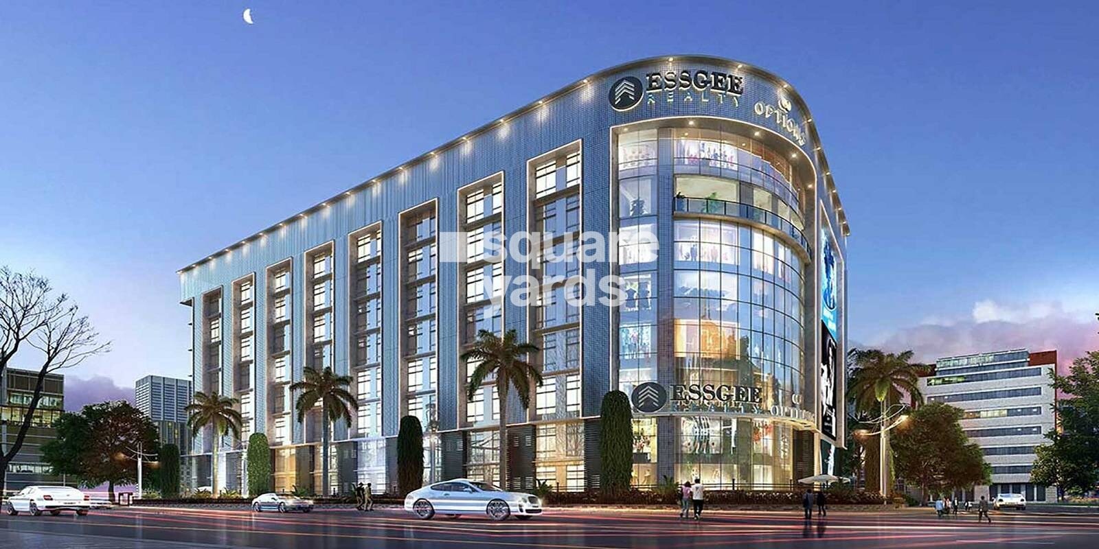 Essgee Options One Phase II