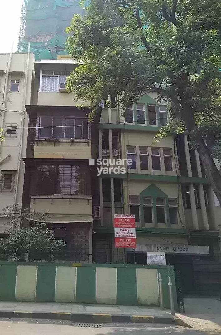 Ever Green Tower View