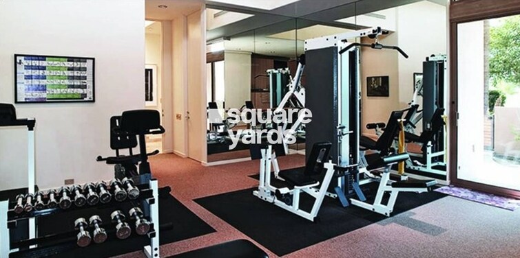 Flying Kite Gymnasium Image