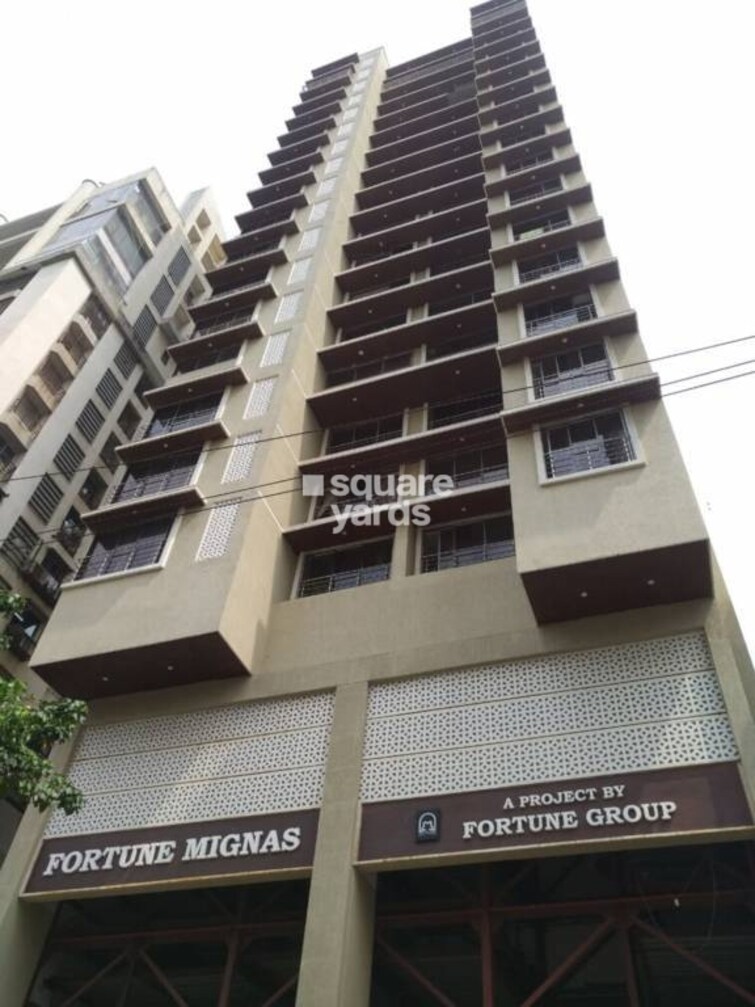 Fortune Mignas Tower View