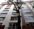 Gala Blossom Apartment