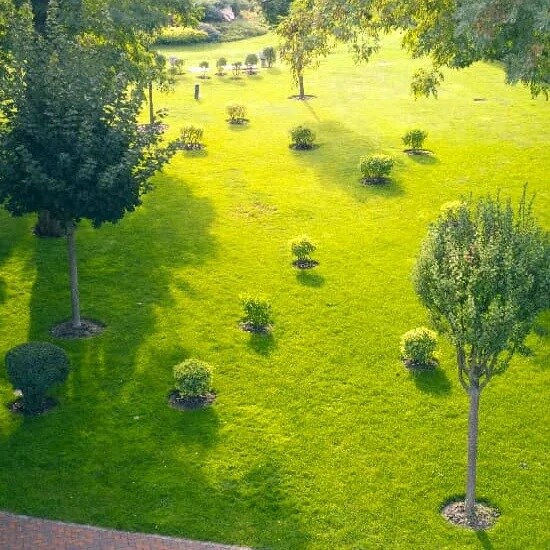 Godrej Reserve Kandivali