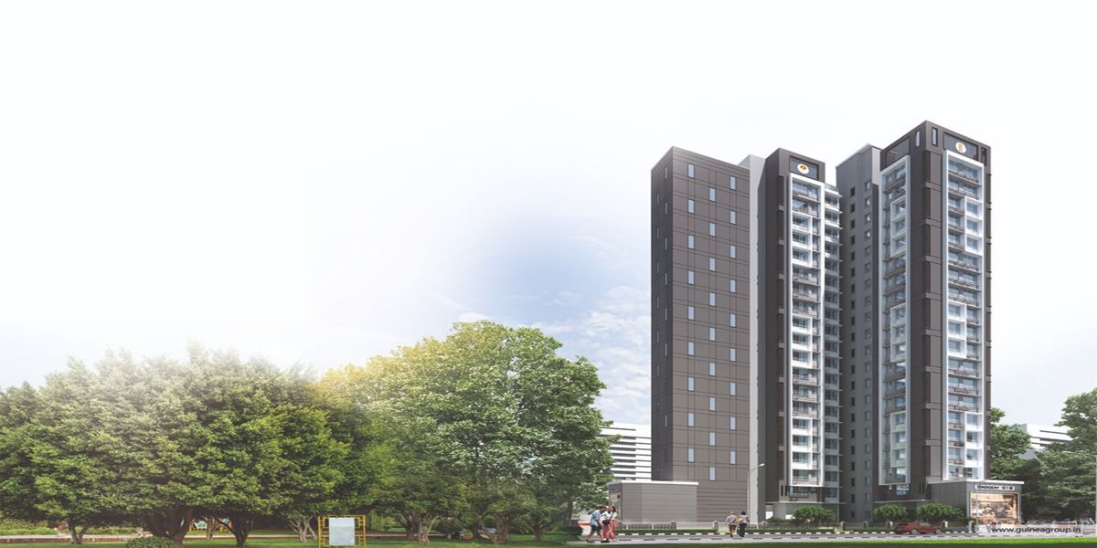 Guinea HK Residency