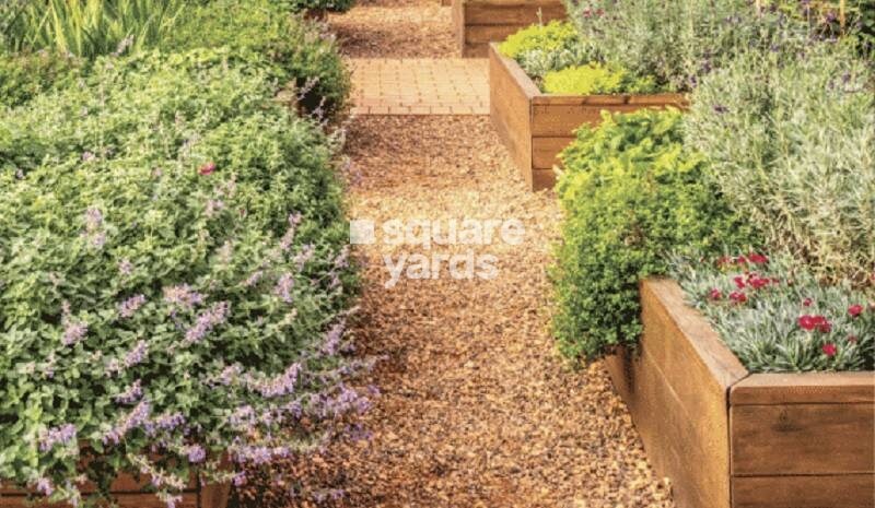 Haware IPSA Amenities-Features 3