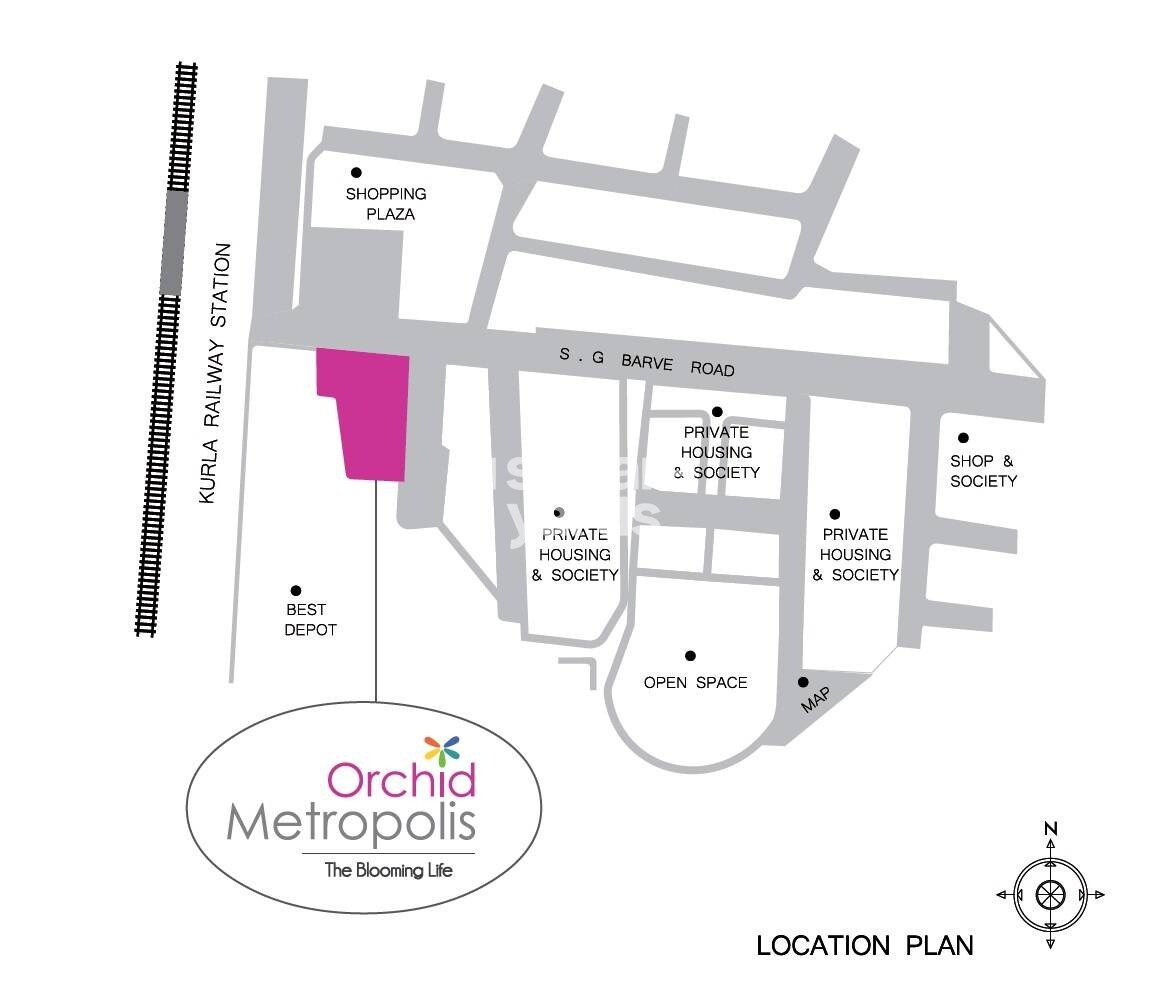 Innovative Orchid Metropolis