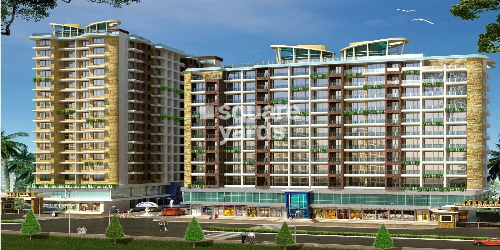 Innovative Orchid Metropolis