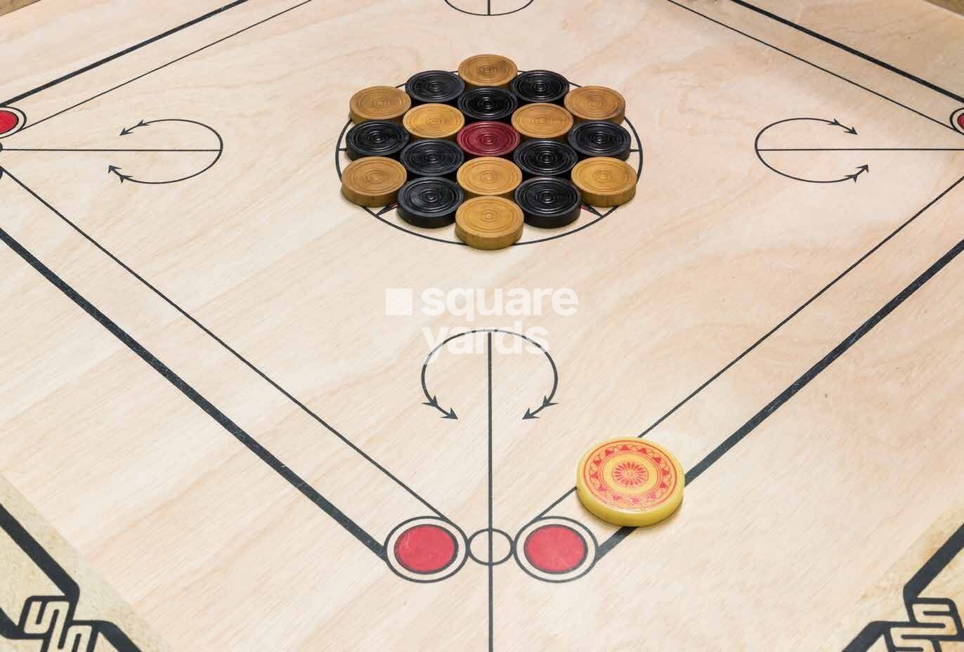 Integrated Ramicon Amenities-Features 4